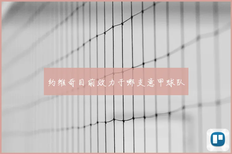 约维奇目前效力于哪支意甲球队