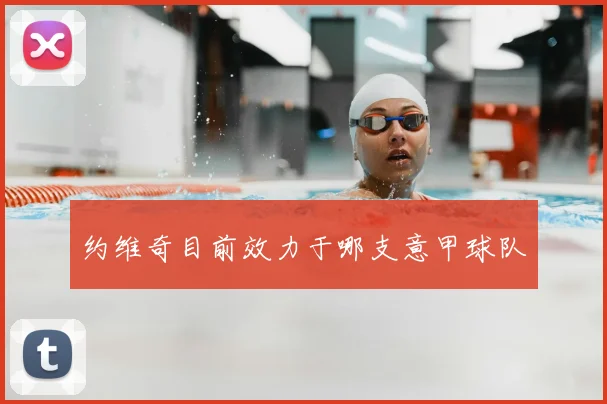 约维奇目前效力于哪支意甲球队